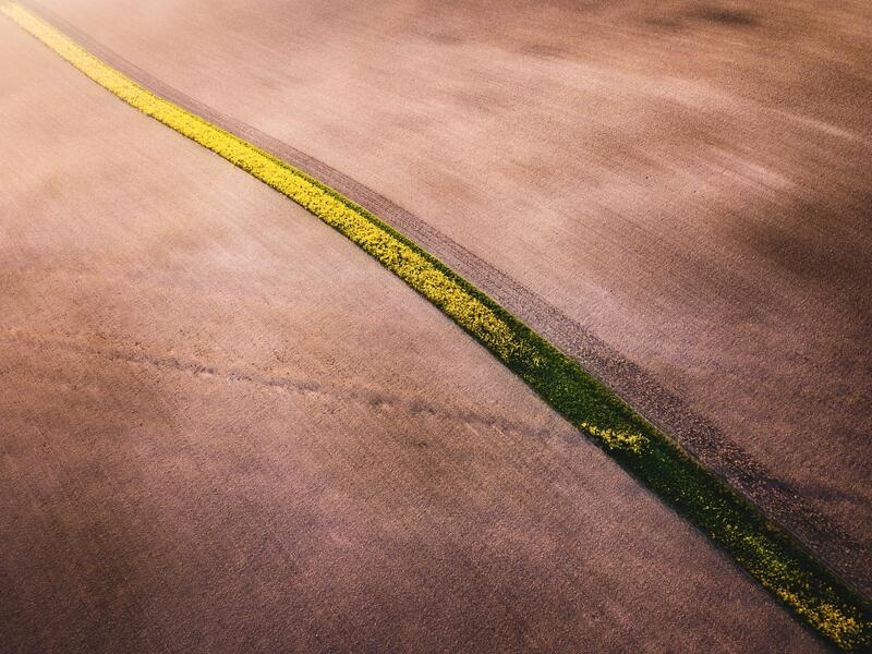 „INVL Baltic Farmland“ akcininkams planuojama išmokėti 775 tūkst. eurų dividendų