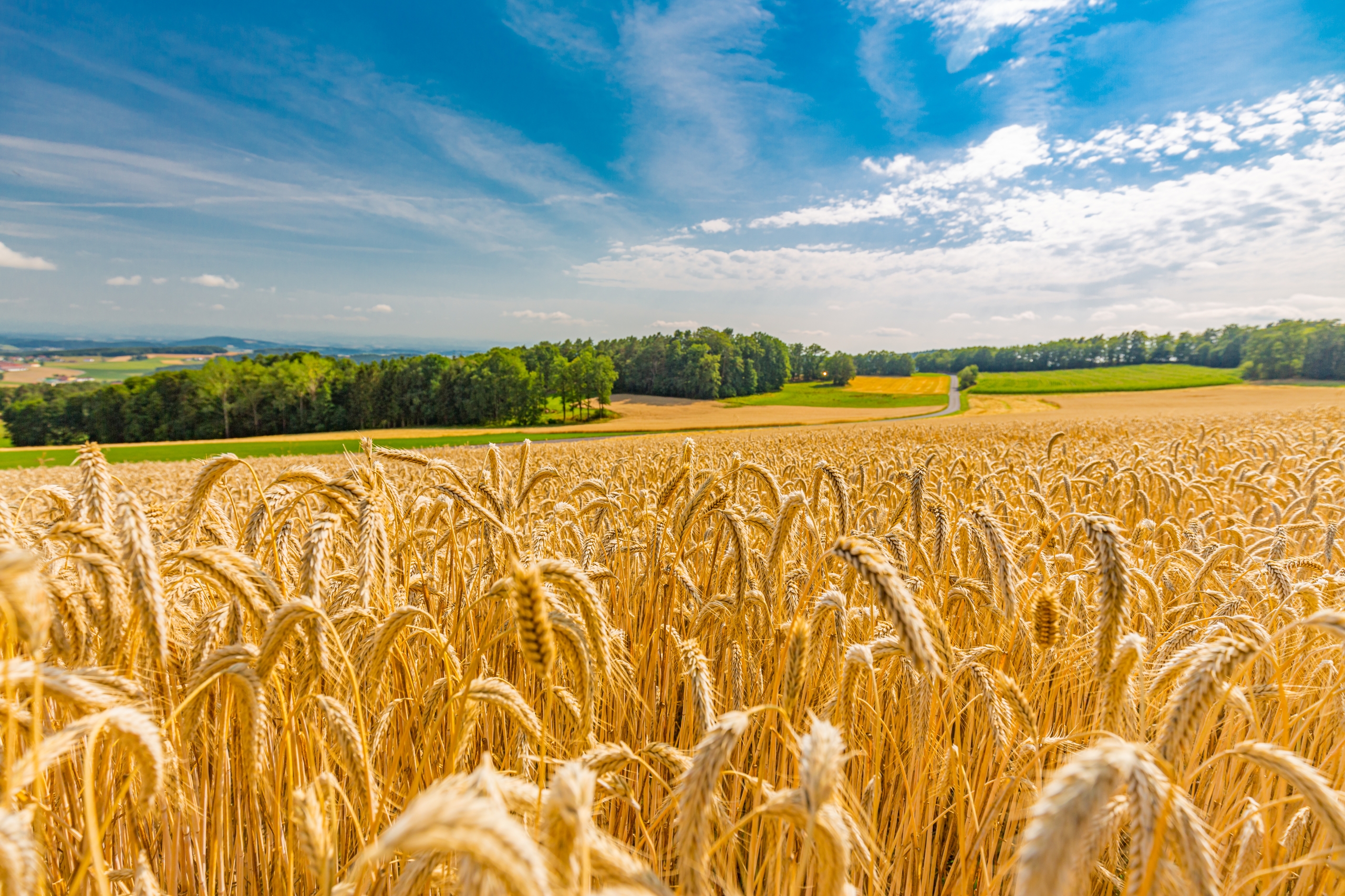 „INVL Baltic Farmland“ pirmąjį ketvirtį uždirbo 119 tūkst. eurų grynojo pelno