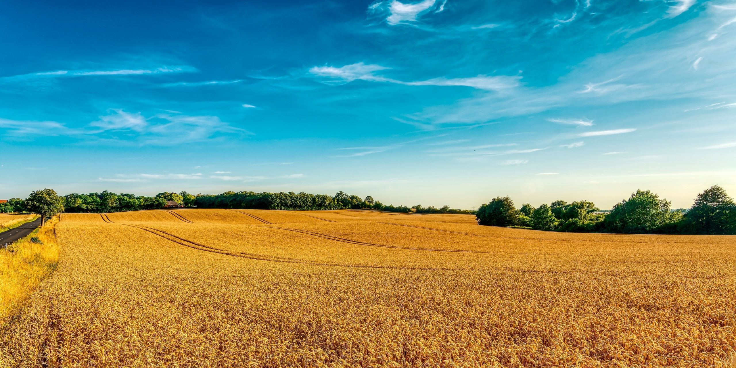 „INVL Baltic Farmland“ pirmąjį ketvirtį uždirbo 113 tūkst. eurų grynojo pelno