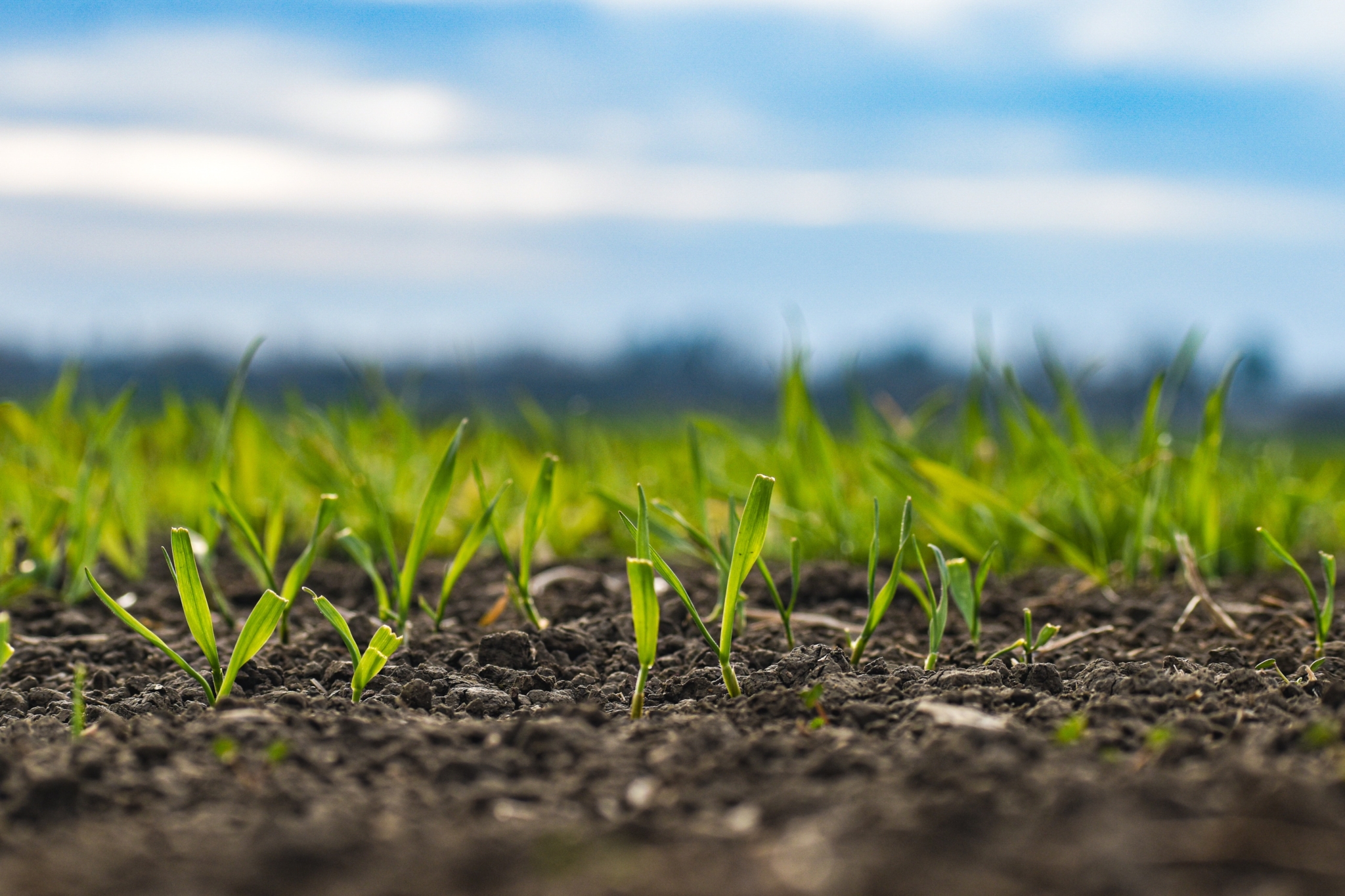 INVL Baltic Farmland had a net profit of EUR 2.643 million in 2023