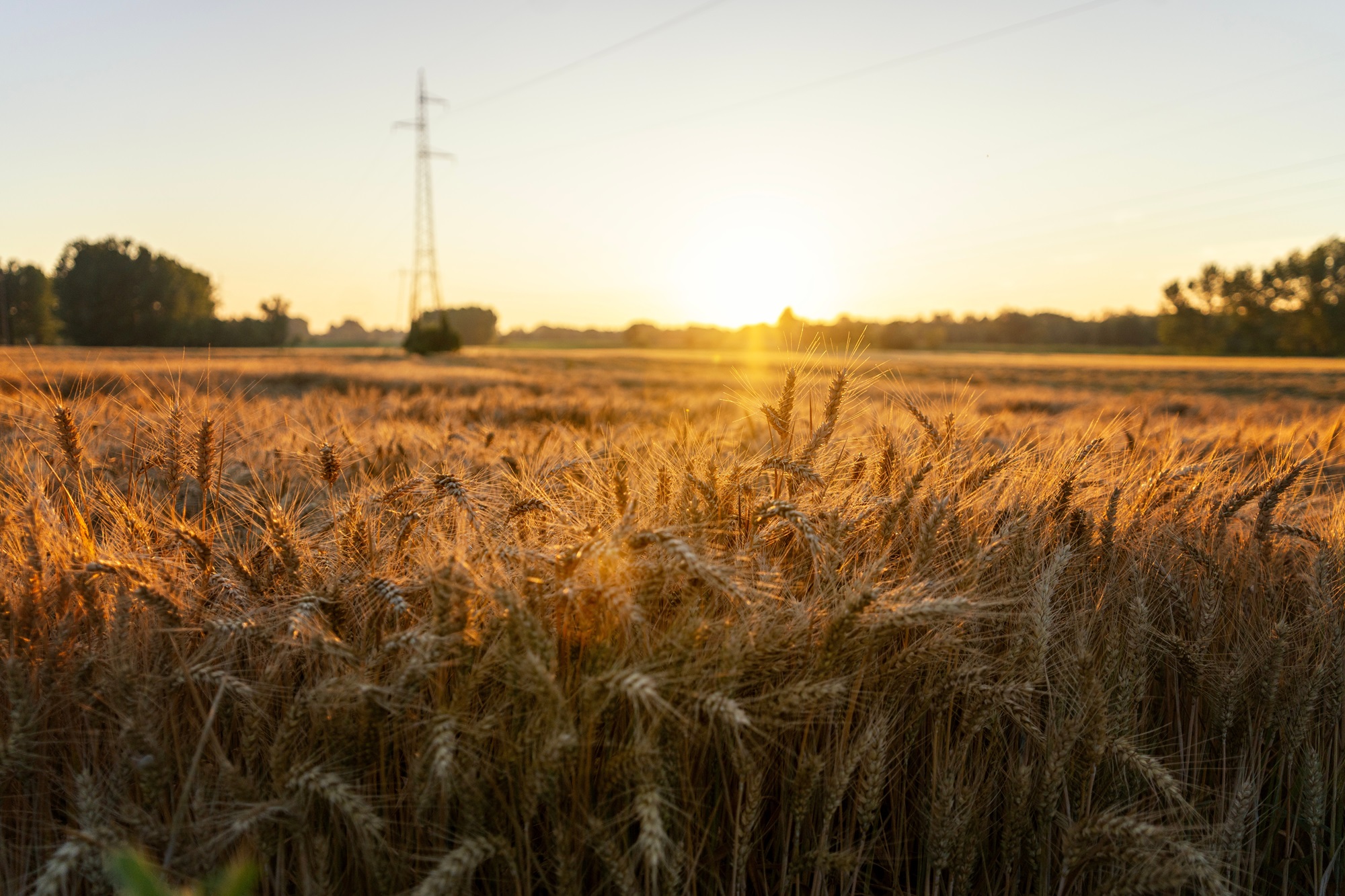 „INVL Baltic Farmland“ per devynis mėnesius uždirbo 344  tūkst. eurų grynojo pelno