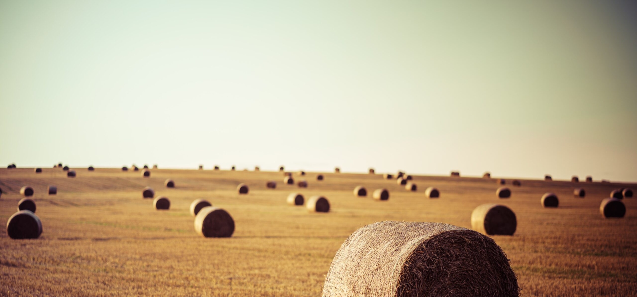 „INVL Baltic Farmland“ mokės dividendus akcininkams
