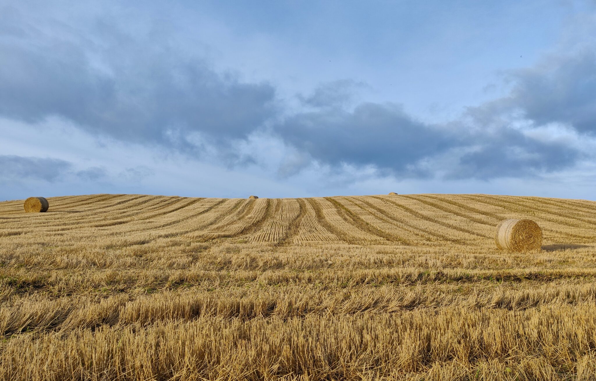 „INVL Baltic Farmland“ pirmojo ketvirčio grynasis pelnas išaugo 9,7 proc.